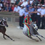 palio di siena agosto 2008