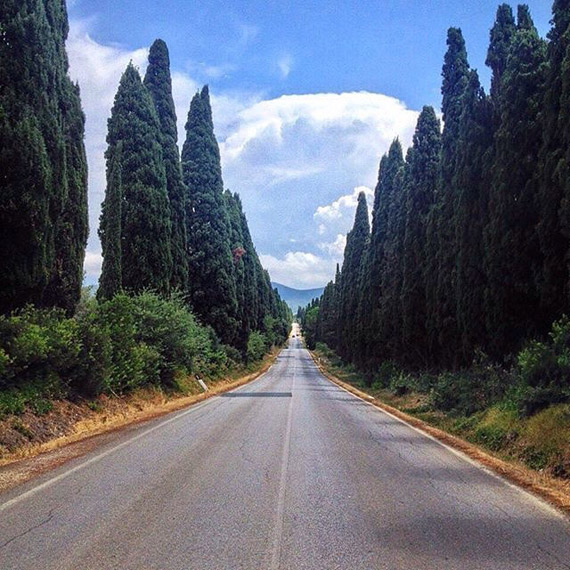 The Avenue of Cypresses that leads to Bolgheri - photo credit @mandidatchler