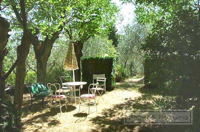 Apartment Rentals in Florence