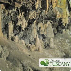 calcite concretions in Wind Cave