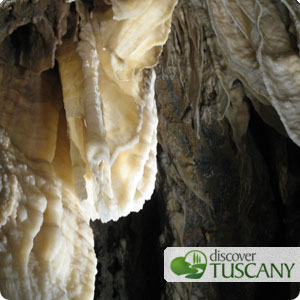 beautiful calcite concretions in the Wind Cave