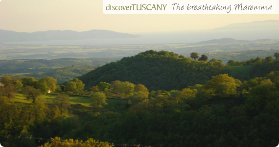 The beautiful Maremma Landscape
