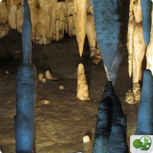 Le grotte dell'Antro del Corchia