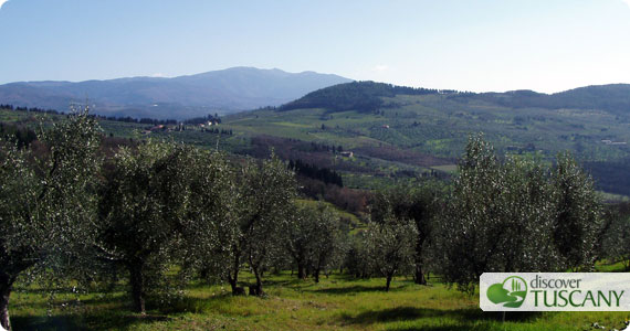 Montefiesole