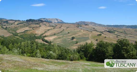 Il verde Mugello