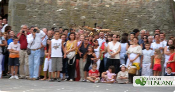 flight of the falcon across the Piazza dei Vicari in Scarperia