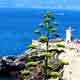 Piombino - A city that you didn&rsquo;t expect