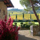 Fattoria Viticcio - Farmhouse in Chianti