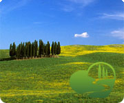 Travel suggestions, tips and more on our Discover Tuscany blog!