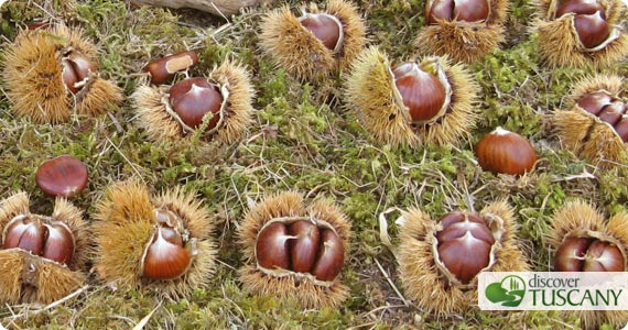 marradi chestnuts festival