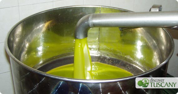 tuscan olive oil