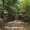 casal_di_pari05