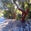casal_di_pari08