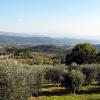 pari17