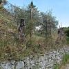 castel_san_niccolo06